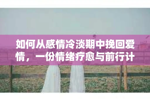 如何从感情冷淡期中挽回爱情，一份情绪疗愈与前行计划