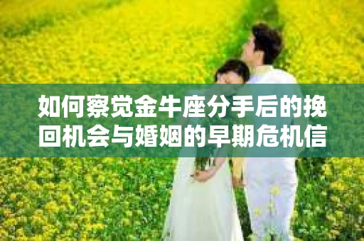 如何察觉金牛座分手后的挽回机会与婚姻的早期危机信号？