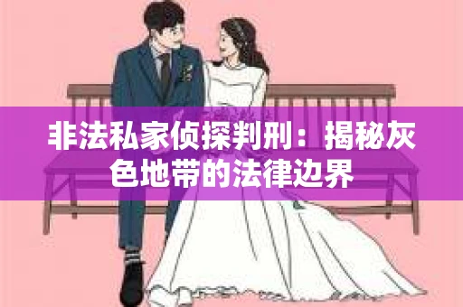 非法私家侦探判刑：揭秘灰色地带的法律边界