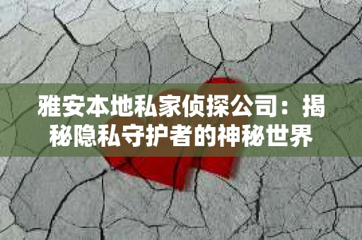 雅安本地私家侦探公司：揭秘隐私守护者的神秘世界