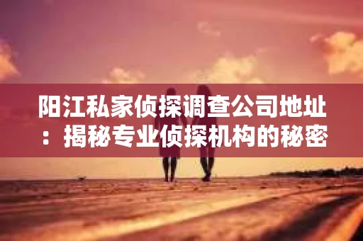 阳江私家侦探调查公司地址：揭秘专业侦探机构的秘密基地