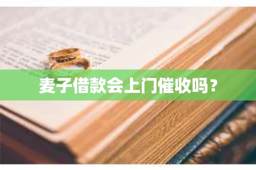 麦子借款会上门催收吗？