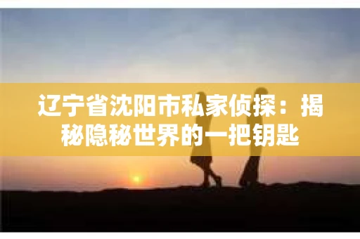 辽宁省沈阳市私家侦探：揭秘隐秘世界的一把钥匙