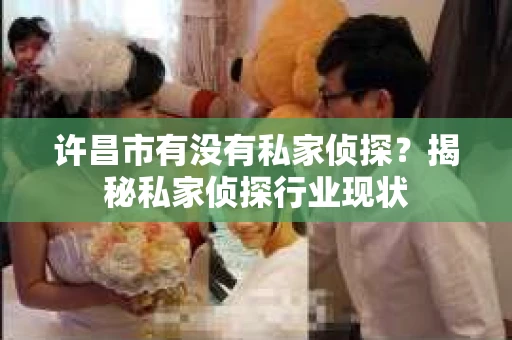 许昌市有没有私家侦探？揭秘私家侦探行业现状