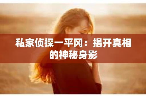 私家侦探一平冈：揭开真相的神秘身影