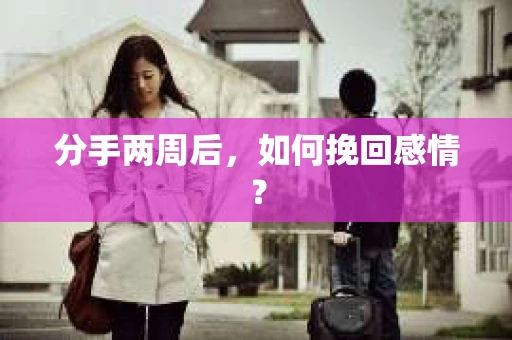 分手两周后，如何挽回感情？