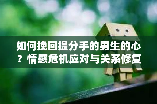 如何挽回提分手的男生的心？情感危机应对与关系修复全攻略